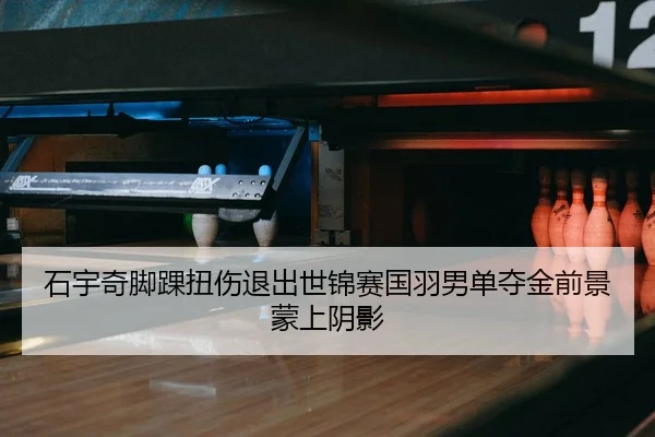 石宇奇脚踝扭伤退出世锦赛国羽男单夺金前景蒙上阴影
